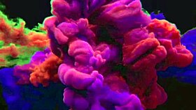 I fuck him like a dog with big tits and squirting ass