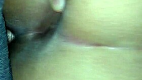 Latina Couple Bent Over in Doggystyle with Daisy