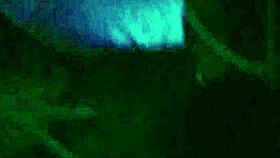 Thick Ebony Bends Over For Doggystyle Fucking