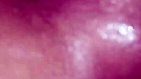 I want to show you my dick