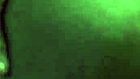 I matched on tinder and she rode me in pov style