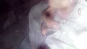 rock hard cock stands ready