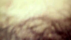 Parents in Interracial Encounter