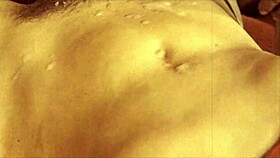 dark lantern entertainment reveals the sins of our ancestors in my secret life, the erotic confessions of a victorian english gentleman