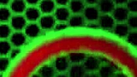 Busty Blonde Puma Swede MASTURBATES With NEW Vibrator To CUM