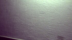 patient visits dr bianca pikachu for a 24-hour consultation