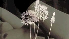 Dark Lantern Entertainment Presents Two Centuries of Vintage Porn Classics