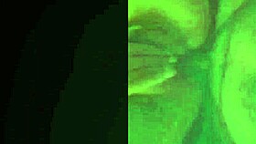 Watch this sexy redhead get a hot cumshot on her pussy right now.