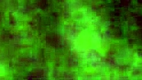 I love watching amateur blowjobs, gentle caresses, and intense anal scenes set to music.