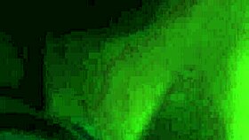 Can You Handle My Ass Play?