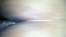 big butt girl takes this cock in her ass.