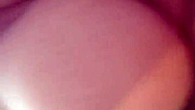 Young amateurs engage in playful mischief part two