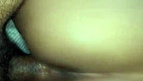 Amateurs Close Up Ass and Pussy Action