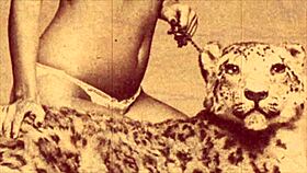 ever wondered about victorian confessions with animals?