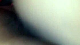 Blackhammer ass and big cock action