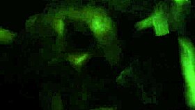 Gay Boss Sucks Hung Straight Boy's Thick Cock In Detailed Encounter