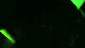 i was fuckin' her pussy outdoor and she was moanin' so loud, it felt amazin' with all that dirty talk