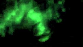 Indian Girl Performs Intense Blowjob on Hard Cock