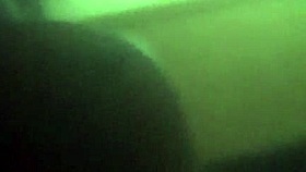 Mature ebony milf giving an amazing blowjob to my monster cock 😍