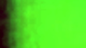 Mature ebony milf giving an amazing blowjob to my monster cock 😍