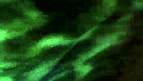 Amateurs Enjoy Intense Creampie Sex Session