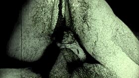 Vintage glimpse presents the 19th century diaries of an English gentleman.