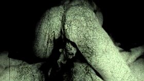 Vintage glimpse presents the 19th century diaries of an English gentleman.