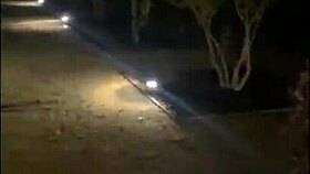 getting sloppy deepthroating bbc in public park