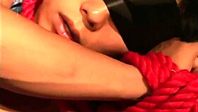 Japanese Asian Gay Encounter