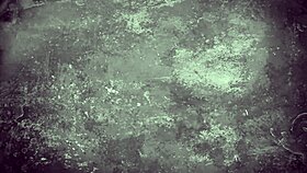 Vintage Blowjob And Fucking In Secret Diaries