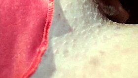 Karina And Lucas Deliver Real Amateur Orgasms With Pussy And Ass Licking!