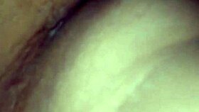 i inserted a cucumber in my ass during a bisexual shemale encounter