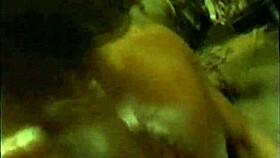 Blancas Are Being Perseguidas In This Thrilling Adventure 😲