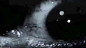 I-I mean, vintage interracial lesbians