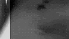 Regina Falange In Amateur Sex With Cousin's Boyfriend!