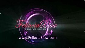 This cute brunette gives a sensual blowjob with handjob and swallow