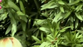 Chantez seduces her son with hot tongue fucking outdoors.