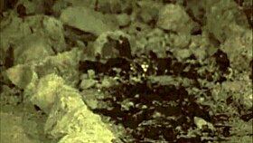 Vintage Halloween Themed Pornography