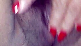 exploring the vibrant city of salta in argentina