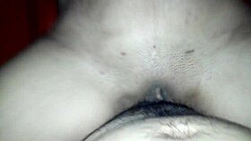 viki leads a pleasurable session with latina milfs in hotel