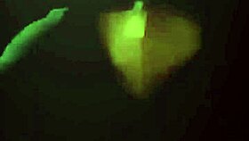 cute ladyboy feels exposed in the shade