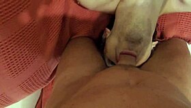 Watch this gay cocksucker get locked in legs for a facial