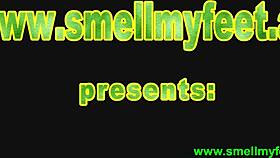 licking feet in socks for domination fetish