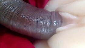 Watch me eat that wet wife pussy roughly in group fucking?