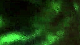 I Get a Creampie from This Amateur Guy