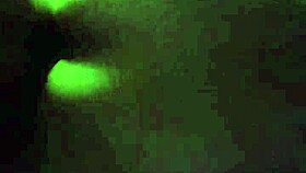 dancing on all fours after the disco