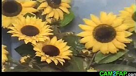 A girl with small busts takes part in troc porn in return for gifts or services