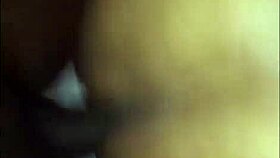 Ebony couple gets down with intense doggystyle action