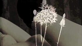 vintage glimpse dark lantern entertainment presents my secret life the 19th century diaries of an english gentleman