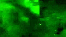 My stunning girlfriend sucked me off in the street at night. What would you do?